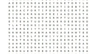 Teste suas habilidades: encontre “PAZ” e “TRANQUILIDADE” em apenas 15 segundos nesse desafio