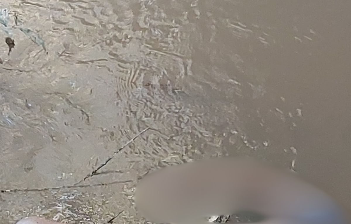 Mais um corpo é encontrado desovado em Anápolis, o segundo nas últimas 24h