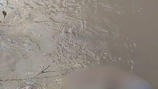 Mais um corpo é encontrado desovado em Anápolis, o segundo nas últimas 24h