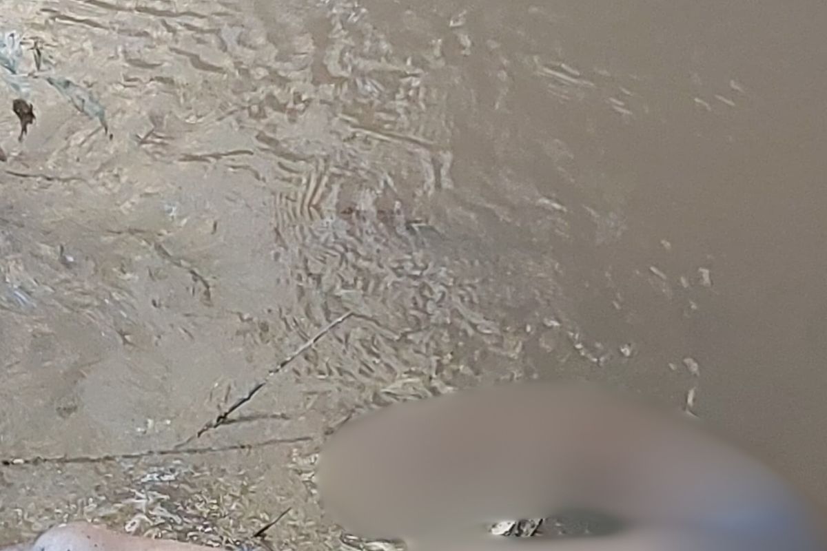Mais um corpo é encontrado desovado em Anápolis, o segundo nas últimas 24h