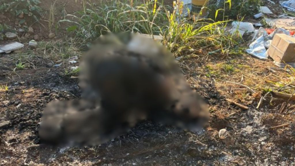 Corpo foi encontrado carbonizado. (Foto: Reprodução)