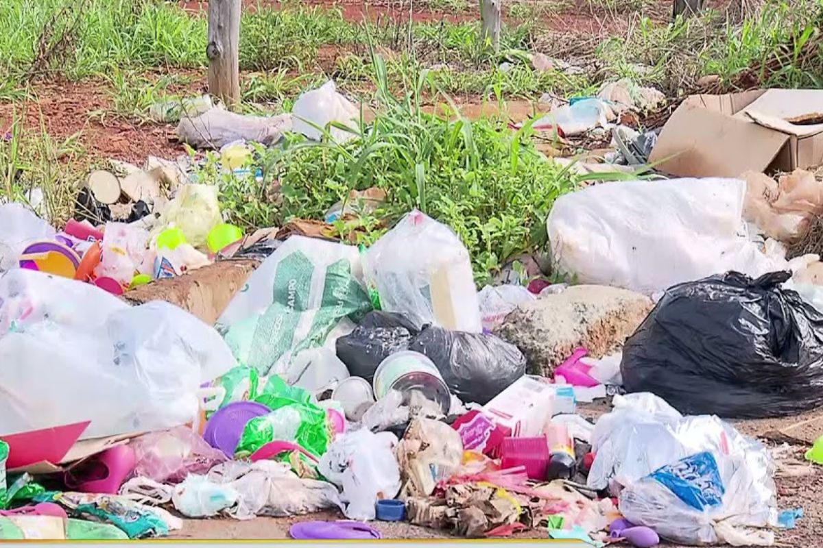 Morador de Goiânia que flagrar e denunciar descarte irregular de lixo poderá ganhar recompensa em dinheiro