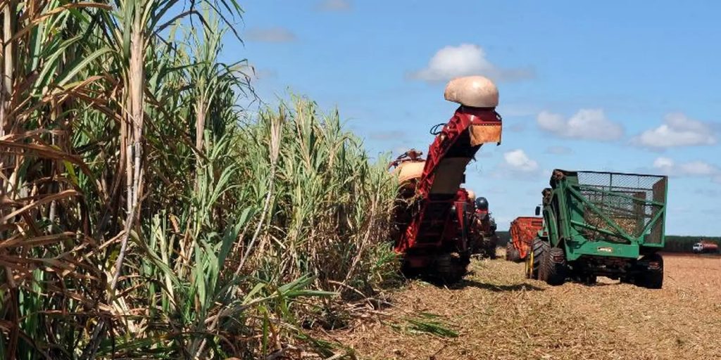 Goiás é um dos maiores exportadores do Brasil. (Foto: Arquivo/Agência Brasil)