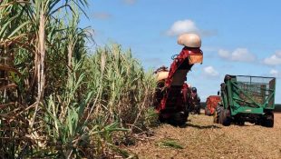Goiás é um dos maiores exportadores do Brasil. (Foto: Arquivo/Agência Brasil)