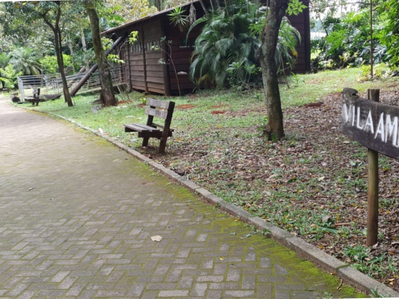 Colônia acontece no Parque Areião. (Foto: Divulgação)