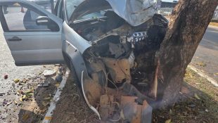 Motorista morreu após colidir contra árvore em Goiânia. (Foto: Reprodução)