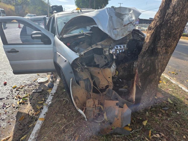 Motorista morreu após colidir contra árvore em Goiânia. (Foto: Reprodução)