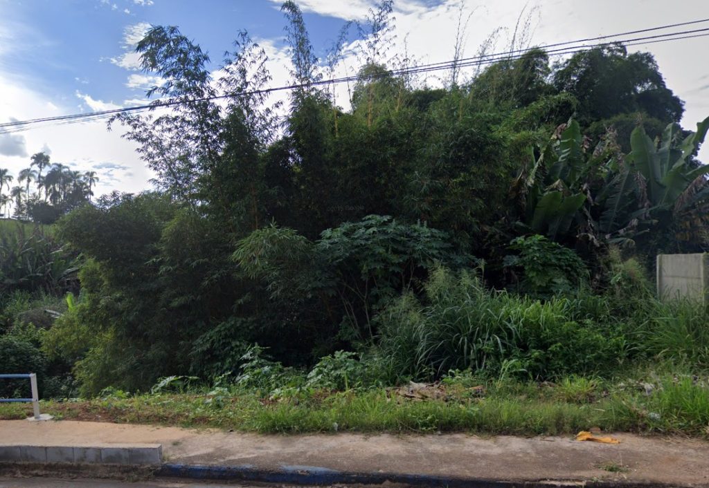 Matagal em Anápolis