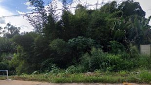 Matagal em Anápolis