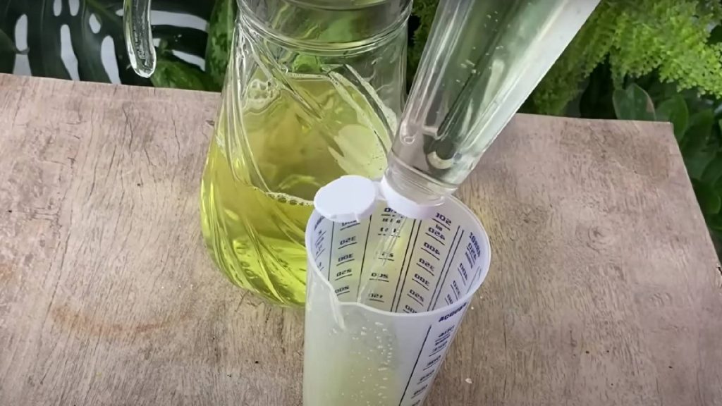 Como acabar com os cupins nas portas usando itens do dia a dia