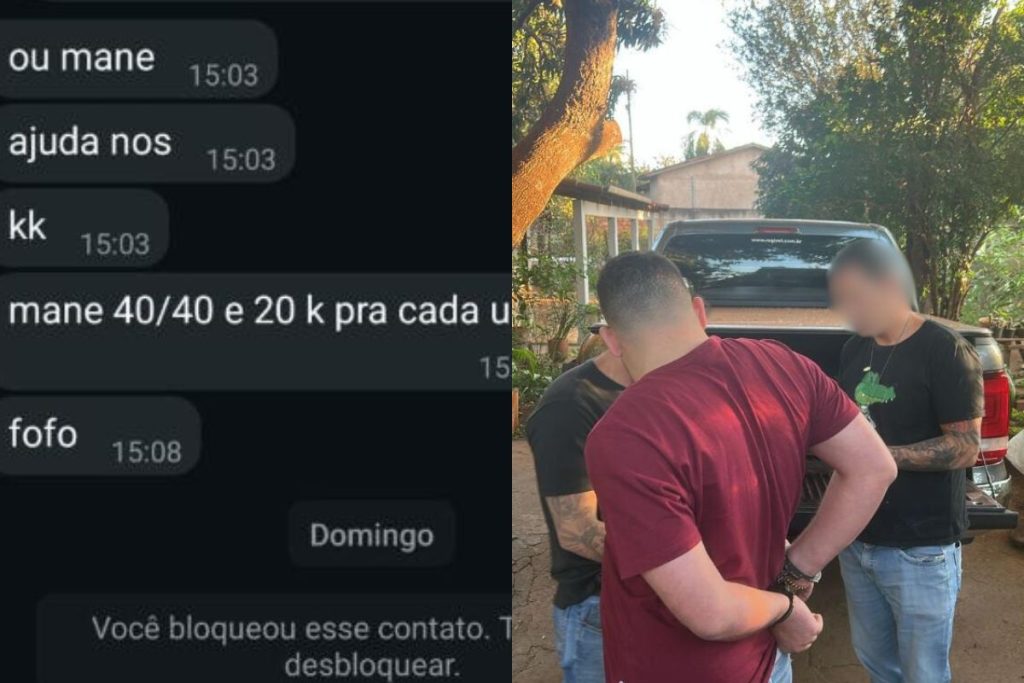 Funcionários se juntaram para furtar loja agropecuária de Rio Verde; saiba detalhes