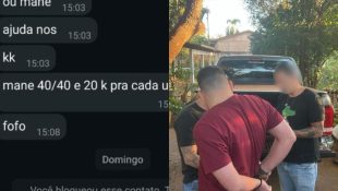 Funcionários se juntaram para furtar loja agropecuária de Rio Verde; saiba detalhes