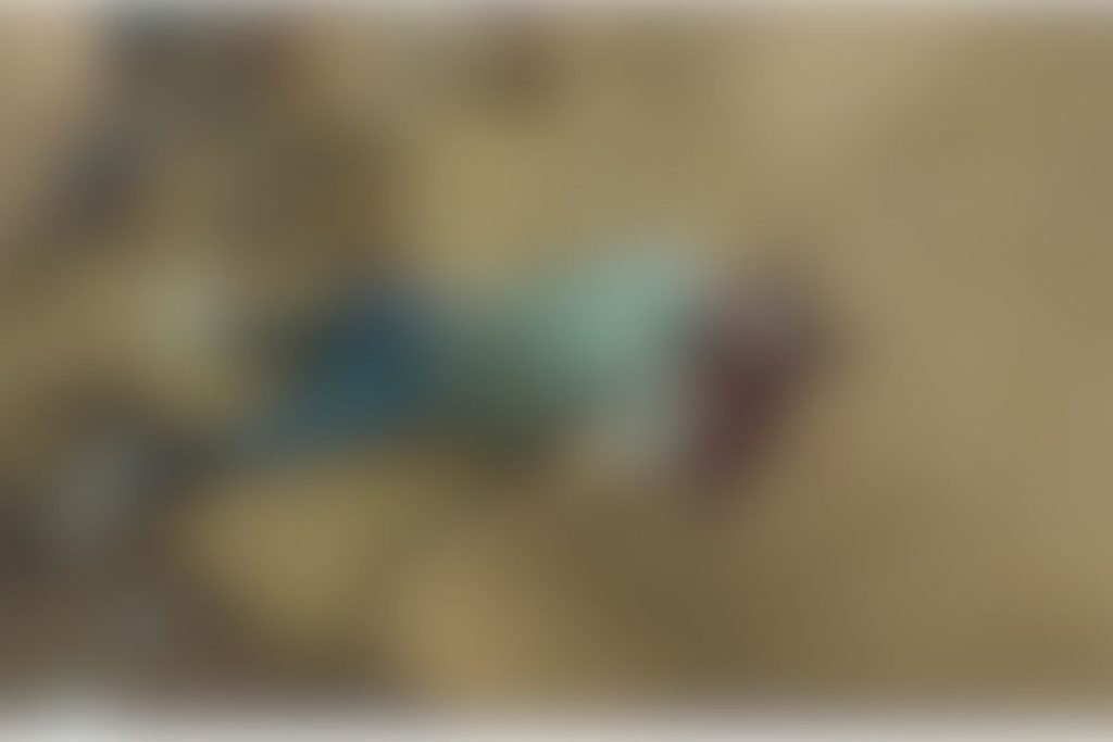 Homem é morto a pauladas na Praça do Ancião, em Anápolis