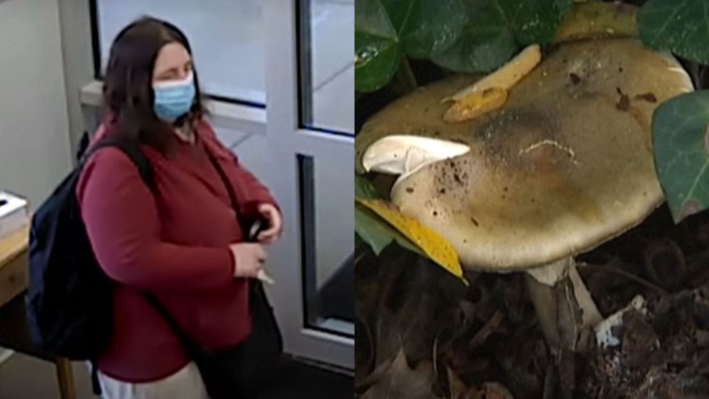 Mulher assassinou três parentes do ex-marido e tentou assassinar um quarto ao servir refeição com cogumelos tóxicos.