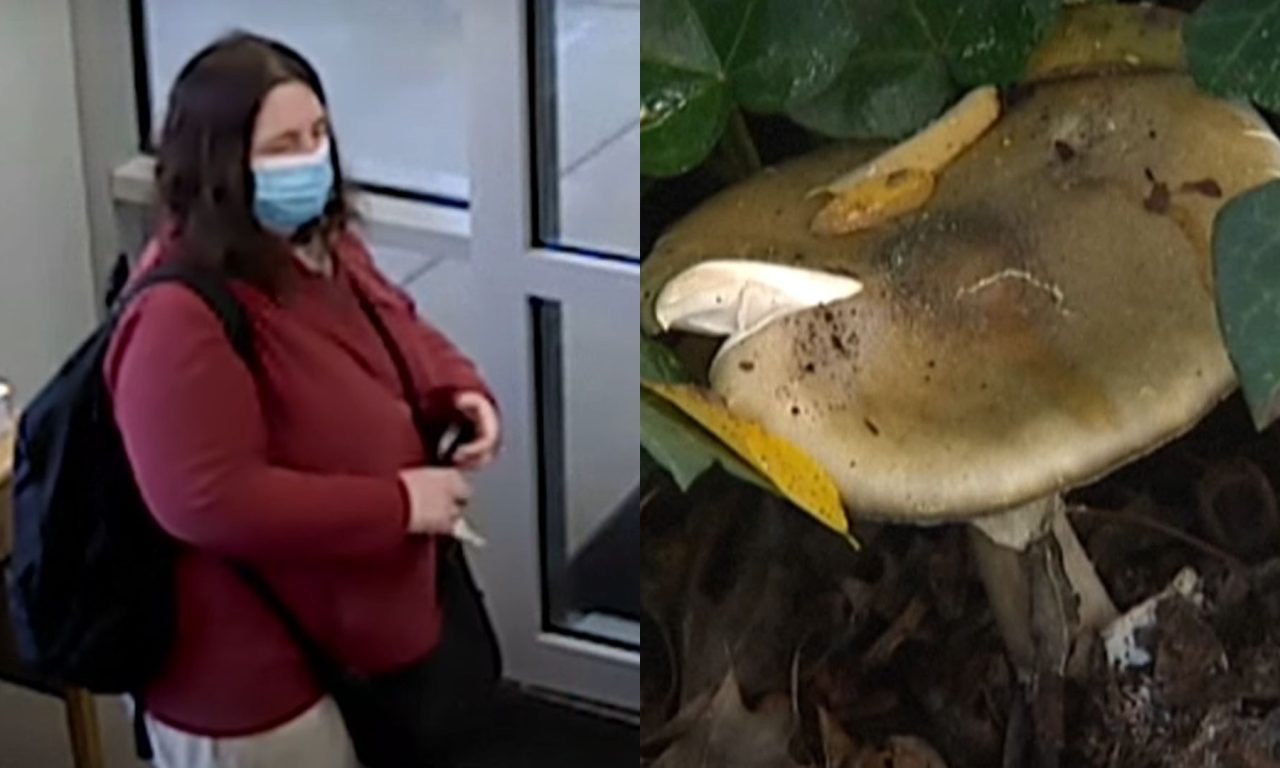 Mulher assassinou três parentes do ex-marido e tentou assassinar um quarto ao servir refeição com cogumelos tóxicos.