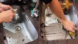 A utilidade da borra de café que toda dona de casa deveria aprender