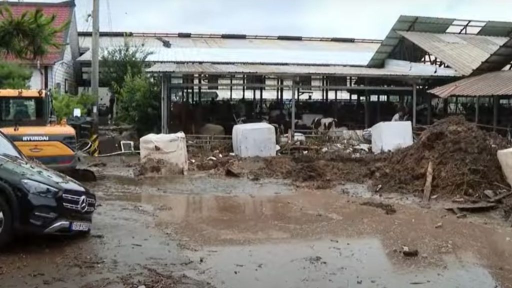 Inundações na Coreia do Sul desocuparam mais de 13 mil pessoas de casa.