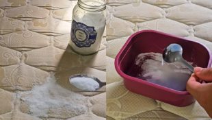 Truque das donas de casa para deixar o colchão limpinho e com cheiro de novo