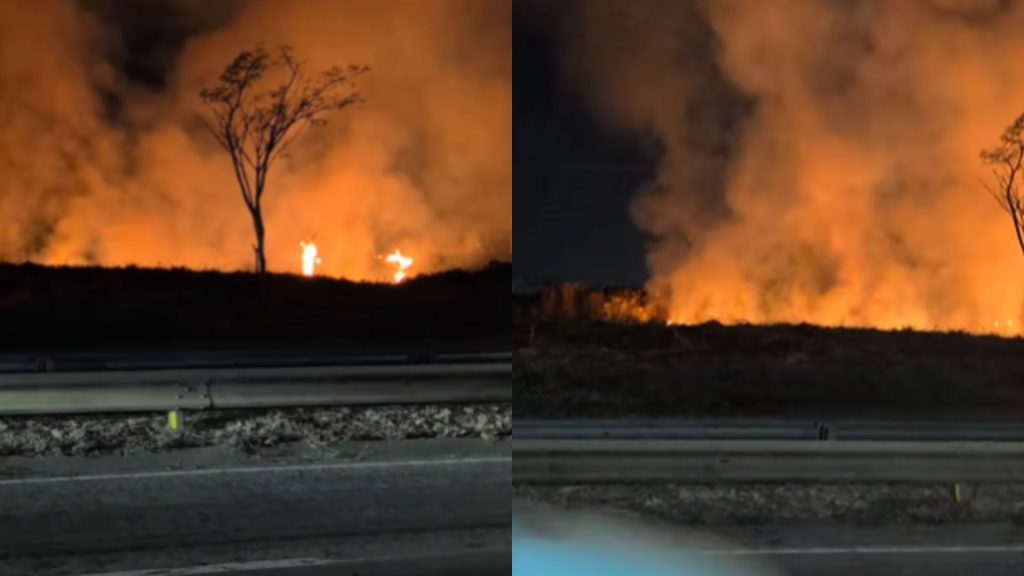 Chamas continuam se espalhando pela vegetação. (Foto: Reprodução/@sobregyn)