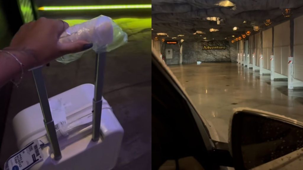 Jovem surpreendeu ao mostrar o que tinha dentro da mala. (Foto: Reprodução)