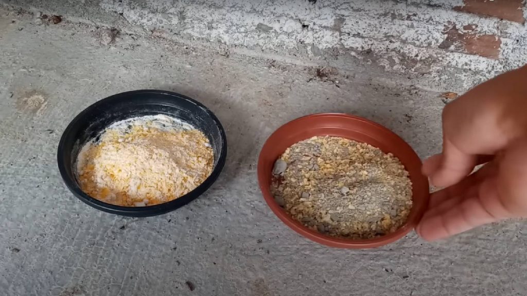 Truque para manter os ratos bem longe de casa (não precisa de veneno)