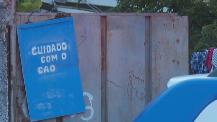 Caso do bebê morto por pitbull em Goiânia: polícia vê negligência da mãe e de outros familiares