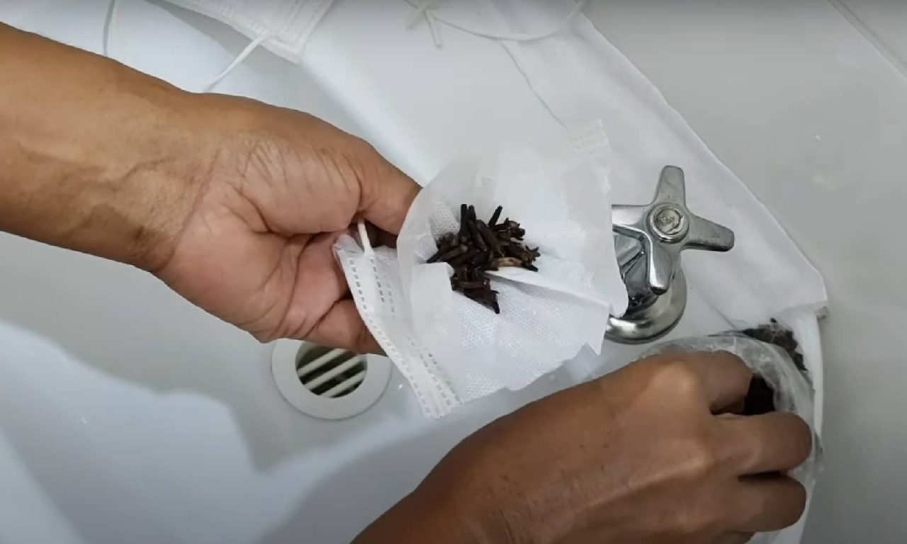 Forma rápida e fácil de se livrar das traças em casa