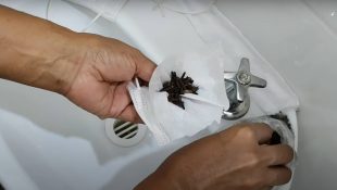 Forma rápida e fácil de se livrar das traças em casa