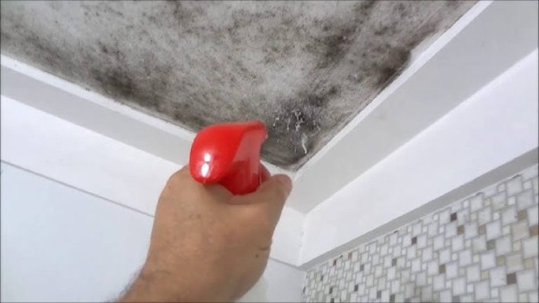 Dicas simples e baratas para se livrar do mofo no banheiro
