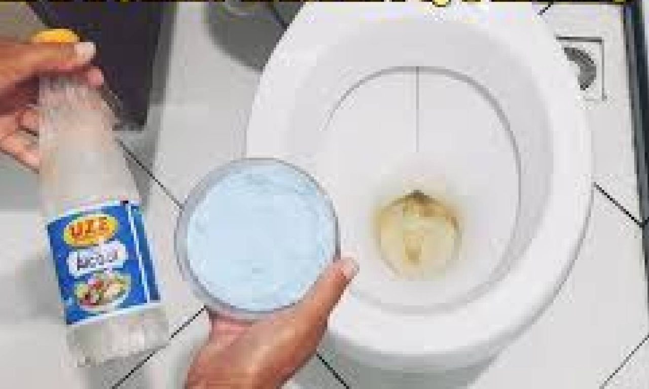 Como tirar as manchas do vaso sanitário de forma fácil e sem produtos caros