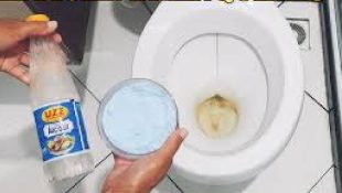 Como tirar as manchas do vaso sanitário de forma fácil e sem produtos caros