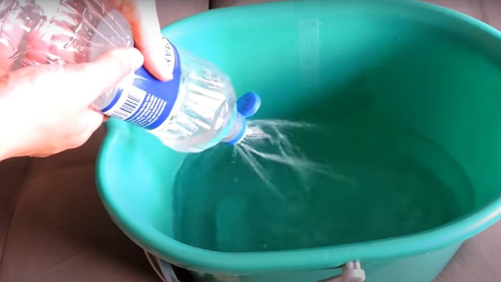 Como acabar com o cheiro forte de xixi de cachorro em casa