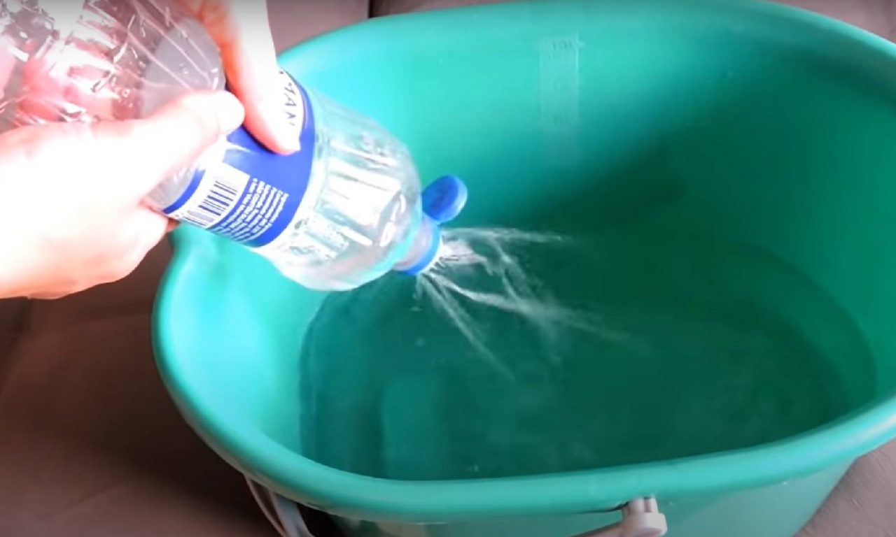 Como acabar com o cheiro forte de xixi de cachorro em casa