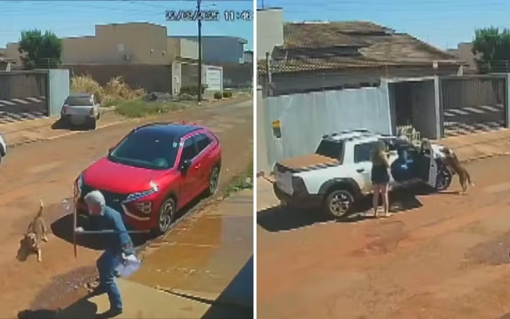 TJGO afasta oficial de Justiça que atirou em cachorro “caramelo” que latiu para ele; vídeo causou revolta