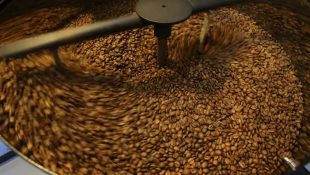 Grãos de café. (Foto: Marcello Casal Jr/Agência Brasil)