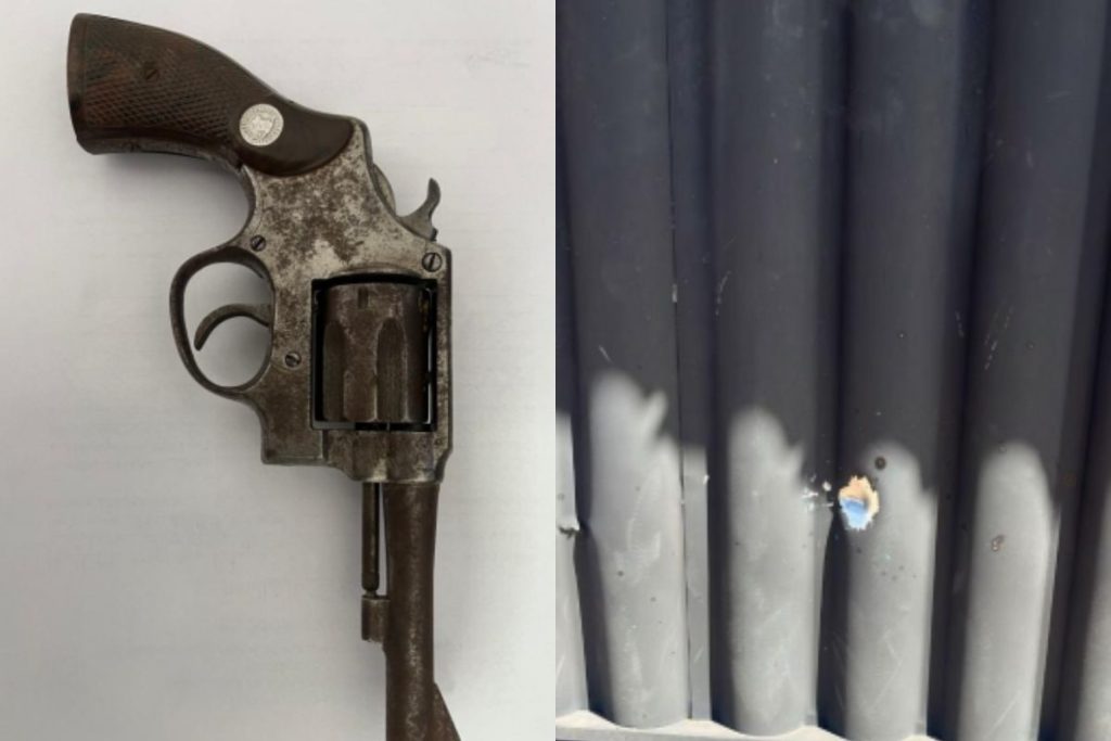 Imagem mostra arma usada no crime e portão alvejado, em Goianésia