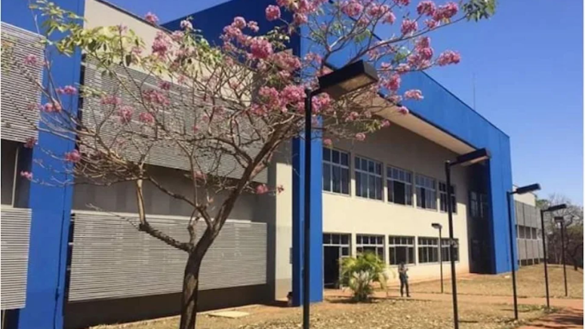 Faculdade de Letras da Universidade Federal de Goiás (UFG). (Foto: Google Maps)