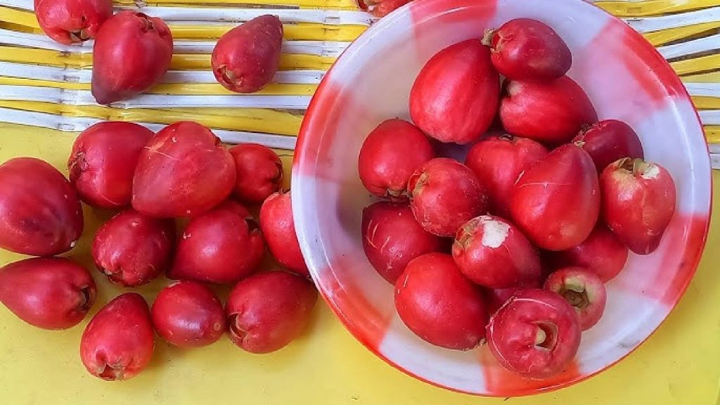 A fruta que previne o infarto e oferece proteção aos vasos do coração