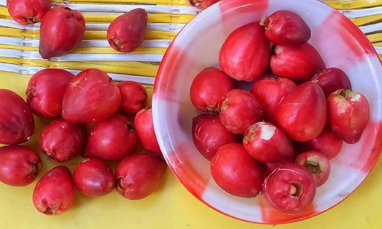 A fruta que previne o infarto e oferece proteção aos vasos do coração