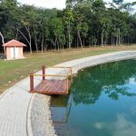 Novo Projeto – 2025-08-28T221732.536