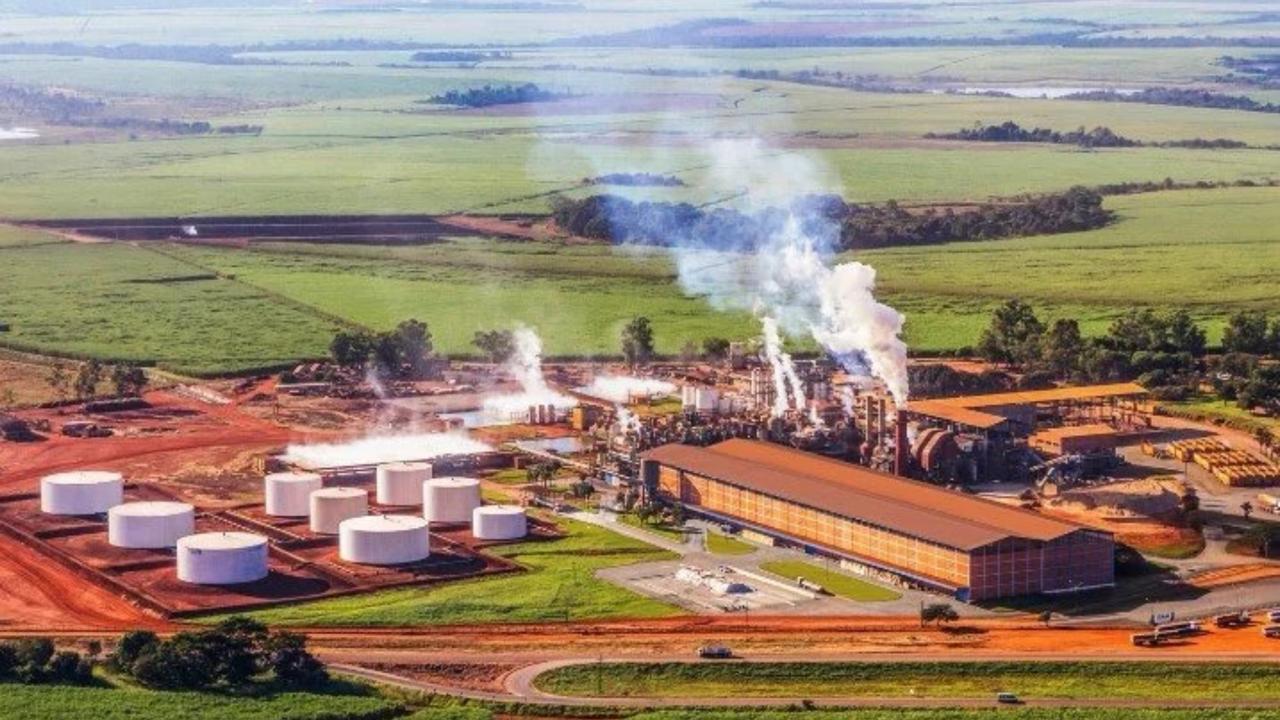 Tarifa dos EUA derruba produção da maior fabricante de açúcar orgânico do mundo, em Goiás
