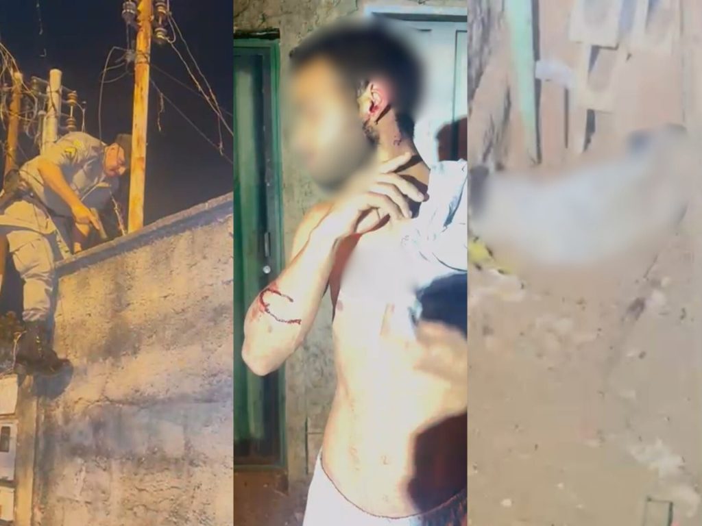 Pitbull precisou ser sacrificado para que vítima fosse socorrida. (Foto: Reprodução)