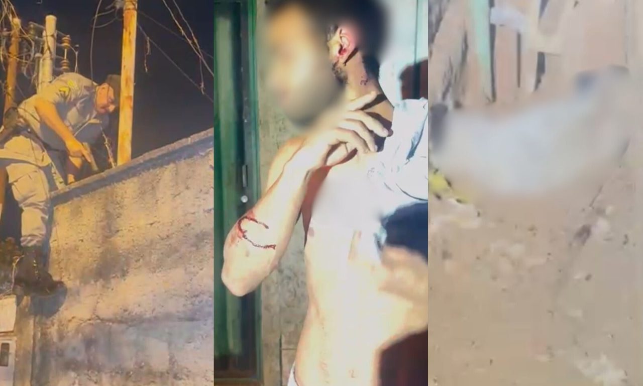 Pitbull precisou ser sacrificado para que vítima fosse socorrida. (Foto: Reprodução)