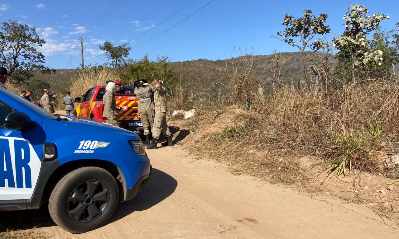 Pai e filho têm surpresa macabra enquanto apagavam fogo de matagal em Aparecida de Goiânia