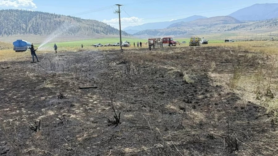 Peixe cai do céu, causa fogo em vegetação e deixa pessoas sem luz no Canadá