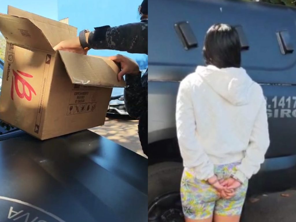 Mulher foi presa em flagrante por tráfico de drogas. (Foto: Divulgação/PM)