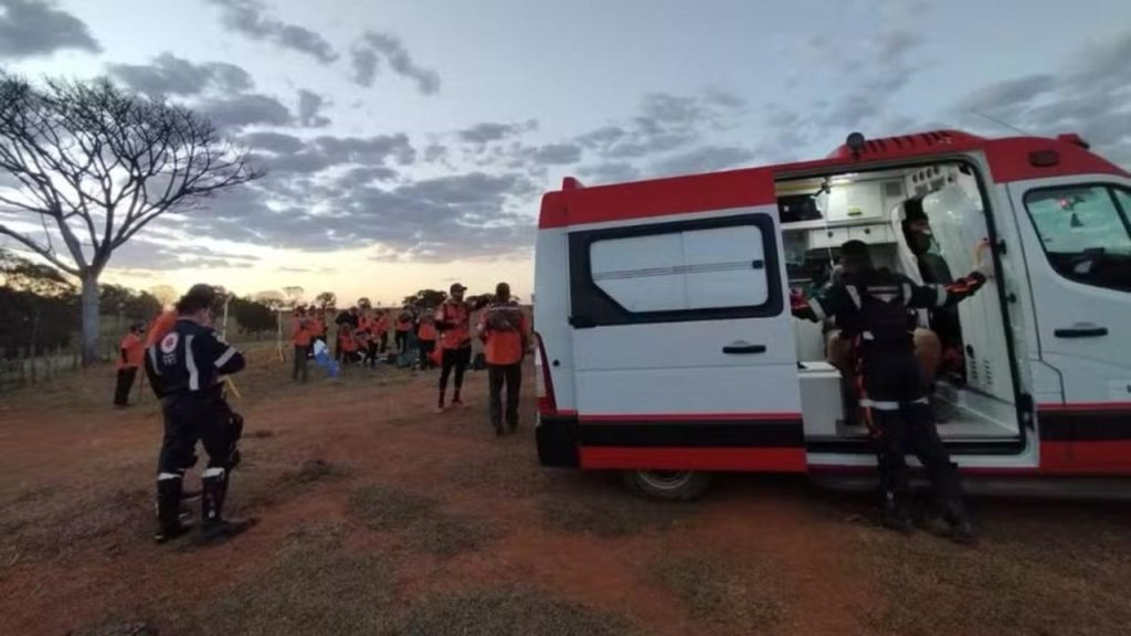 Abelhas legendárias