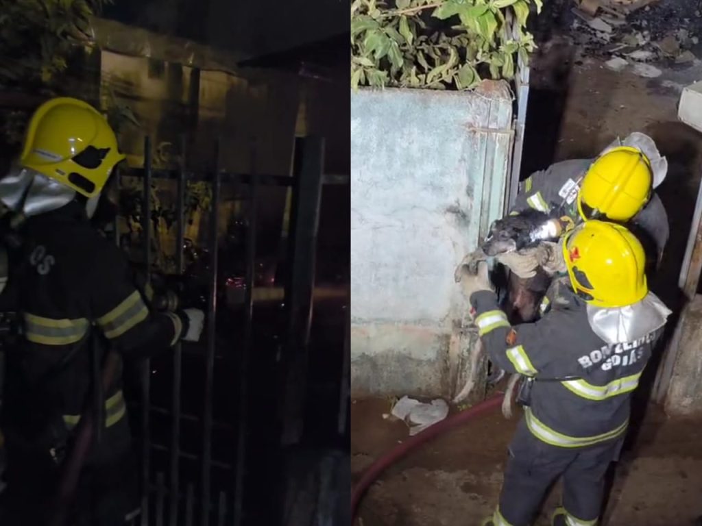 Incêndio custou a vida de um homem. Um idoso e um cachorro foram resgatados. (Foto: Divulgação)