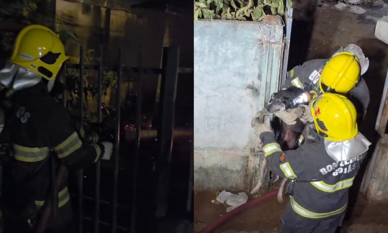 Incêndio custou a vida de um homem. Um idoso e um cachorro foram resgatados. (Foto: Divulgação)