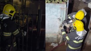 Incêndio custou a vida de um homem. Um idoso e um cachorro foram resgatados. (Foto: Divulgação)